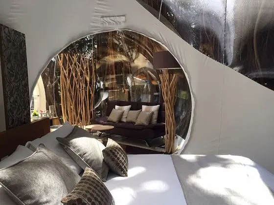 BUBBLE Banyan Tree