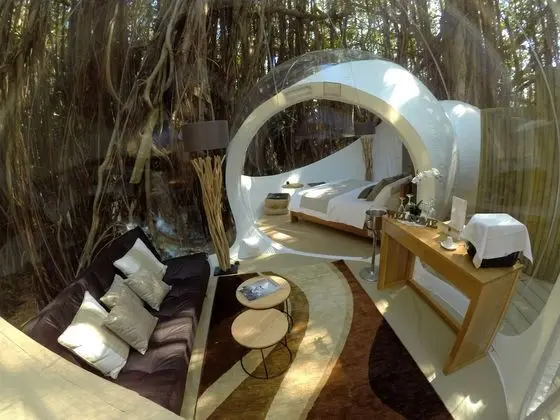 BUBBLE Banyan Tree