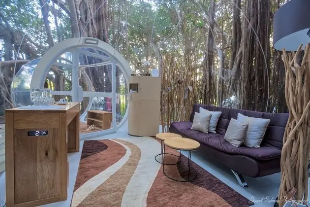 BUBBLE Banyan Tree