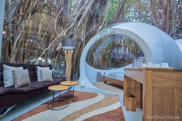 BUBBLE Banyan Tree