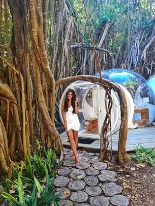 BUBBLE Banyan Tree