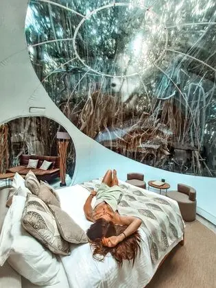BUBBLE Banyan Tree
