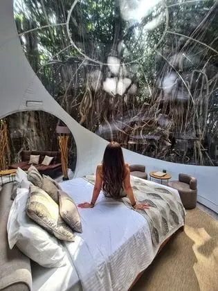BUBBLE Banyan Tree