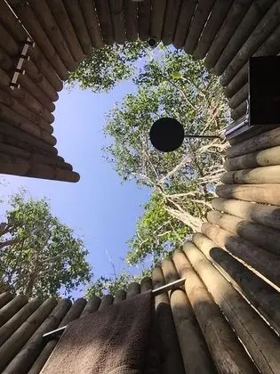 BUBBLE Banyan Tree