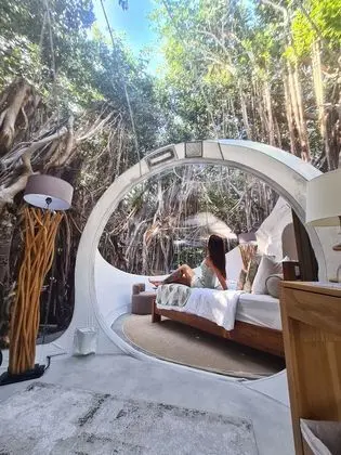 BUBBLE Banyan Tree