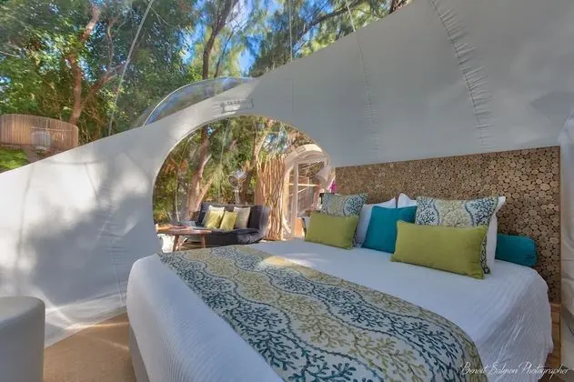 BUBBLE Ocean Paradise