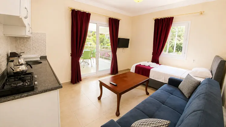 Apartment, Orman Manzaralı, Balkonlu
