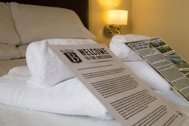 Tek Büyük Yataklı Oda (Shower only)