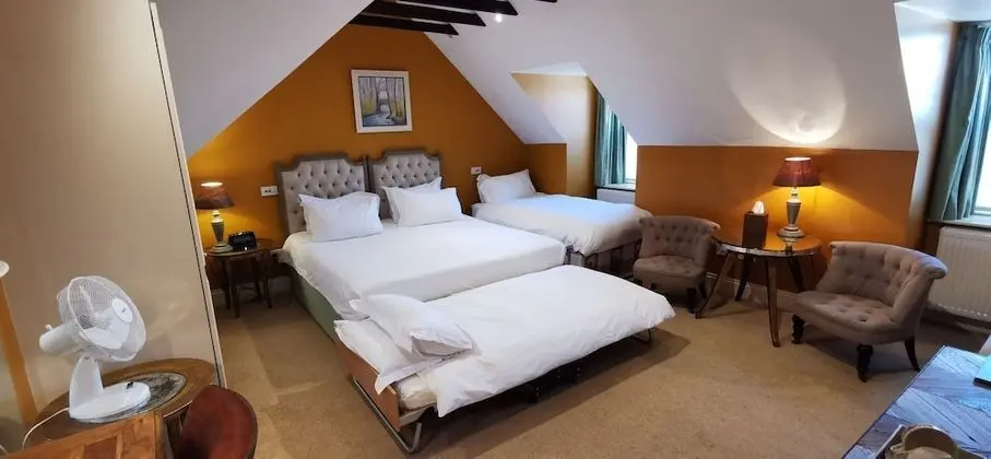 Deluxe Süit, Banyolu/Duşlu (Deluxe Family Room)