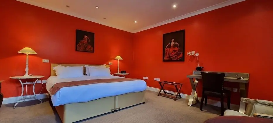 Deluxe Tek Büyük Yataklı Oda, Banyolu/Duşlu (Deluxe Double Room)