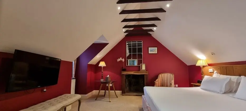 Deluxe Tek Büyük Yataklı Oda, Banyolu/Duşlu (Deluxe Double Room)