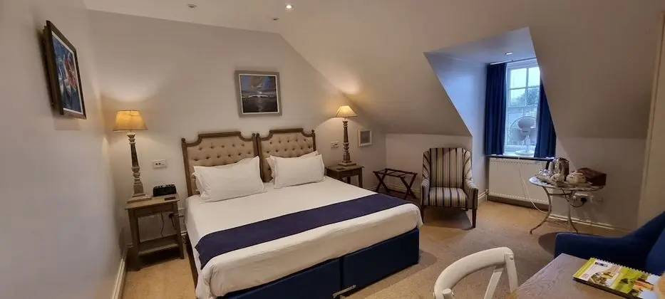 Deluxe Tek Büyük Yataklı Oda, Banyolu/Duşlu (Deluxe Double Room)