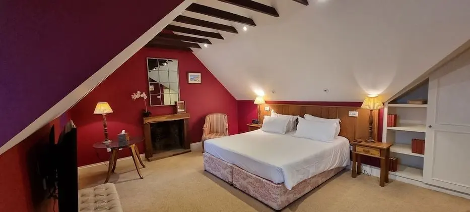Deluxe Tek Büyük Yataklı Oda, Banyolu/Duşlu (Deluxe Double Room)