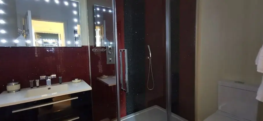 Deluxe Tek Büyük Yataklı Oda, Banyolu/Duşlu (Deluxe Double Room)