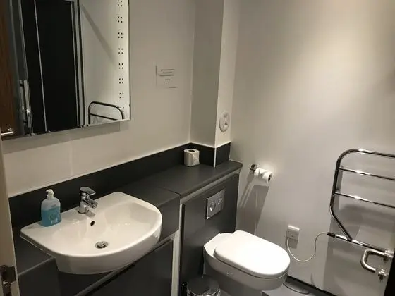 Executive Tek Büyük Yataklı Oda, Banyolu/Duşlu