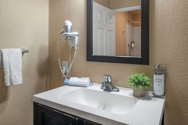 Room 603 - King Standard