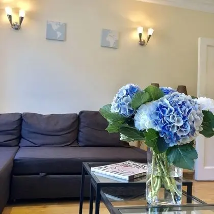 Comfort Dubleks, 2 Yatak Odası, Şehir Manzaralı