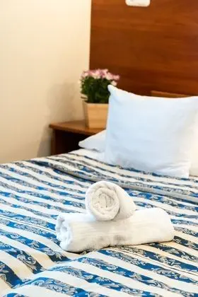 Executive Tek Büyük veya İki Ayrı Yataklı Oda