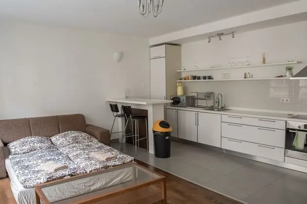 Deluxe Apart Daire, 1 Büyük (Queen) Boy Yatak ve Çekyat