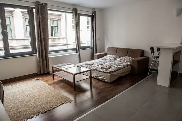 Deluxe Apart Daire, 1 Büyük (Queen) Boy Yatak ve Çekyat