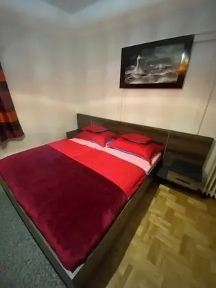 Süit