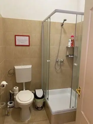 Süit