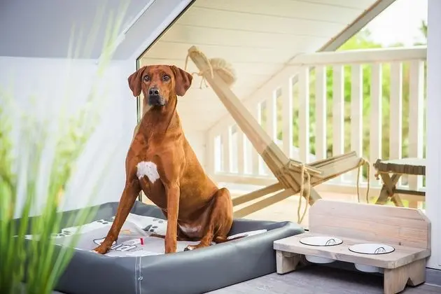 Comfort Tek Büyük Yataklı Oda, Balkon