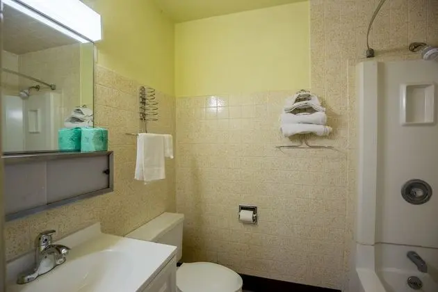 Deluxe Tek Kişilik Oda, 1 Büyük (Queen) Boy Yatak, Sigara İçilmez, Buzdolabı ve Mikrodalga