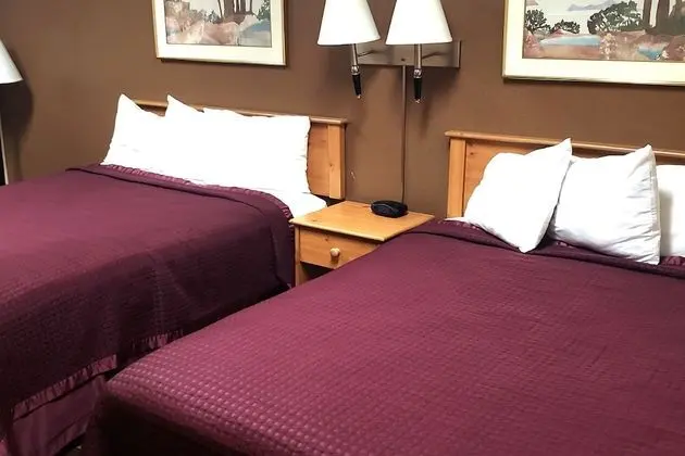 Deluxe Oda, 2 Çift Kişilik Yatak, Sigara İçilmez, Buzdolabı ve Mikrodalga