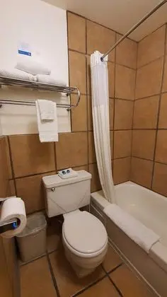 Oda, 1 Çift Kişilik Yatak, Sigara İçilmez
