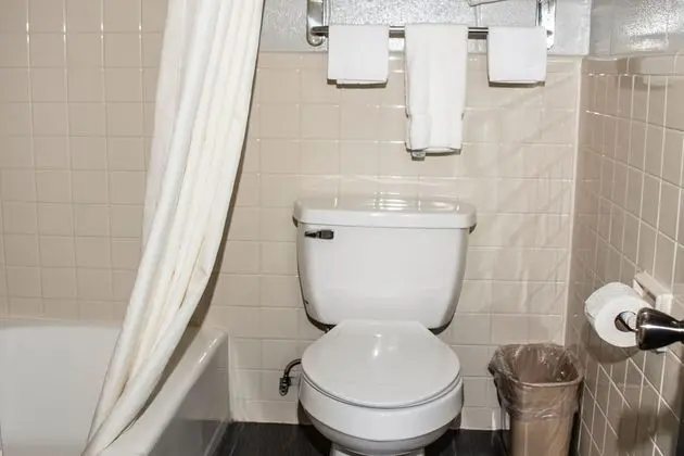 Standard Room, 1 King Bed, Smoking (ground floor)