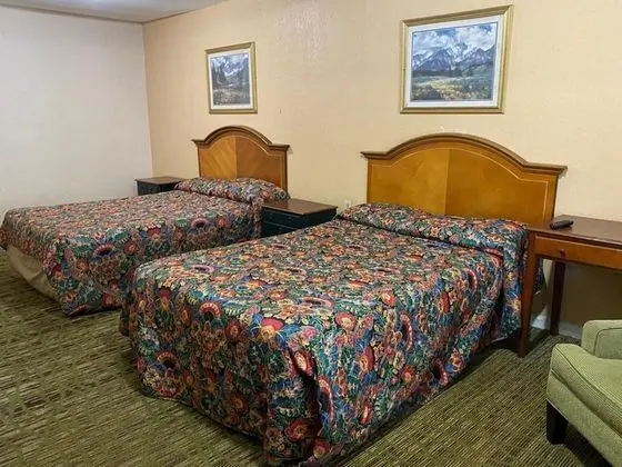 Standard Tek Büyük Yataklı Oda, 2 Çift Kişilik Yatak