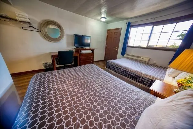 Basic Oda, 2 Büyük (Queen) Boy Yatak, Sigara İçilmez