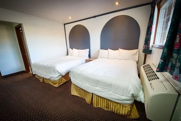 Basic Oda, 2 Büyük (Queen) Boy Yatak, Sigara İçilmez