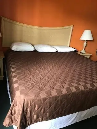 Standard Oda, 1 En Büyük (King) Boy Yatak, Sigara İçilmez, Buzdolabı ve Mikrodalga