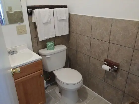 Deluxe Üç Kişilik Oda, Buzdolabı ve Mikrodalga, Zemin Kat