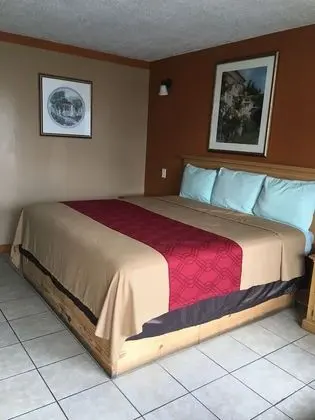 Standard Oda, 1 En Büyük (King) Boy Yatak, Sigara İçilmez