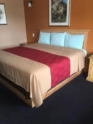 Standard Oda, 1 En Büyük (King) Boy Yatak, Sigara İçilmez