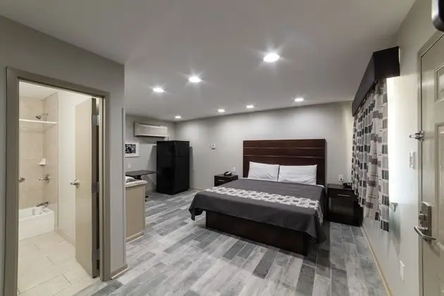 Deluxe Stüdyo, 1 En Büyük (King) Boy Yatak, Sigara İçilmez, Küçük Mutfak