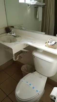 Standard Oda, 1 En Büyük (King) Boy Yatak
