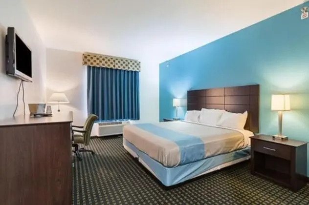 Standard Oda, 1 En Büyük (King) Boy Yatak, Engellilere Uygun