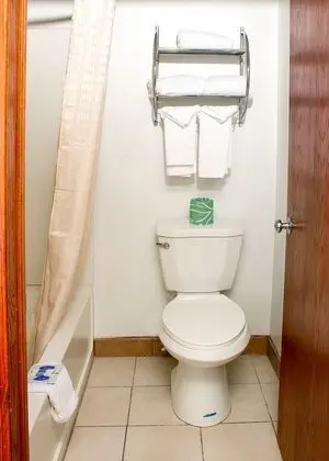 Basic Tek Kişilik Oda, 1 En Büyük (King) Boy Yatak, Sigara İçilmez