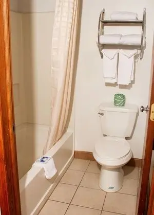 Basic Tek Kişilik Oda, 1 En Büyük (King) Boy Yatak, Sigara İçilmez