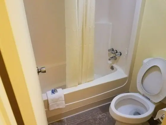 Standard Tek Büyük Yataklı Oda, 2 Çift Kişilik Yatak, Buzdolabı ve Mikrodalga