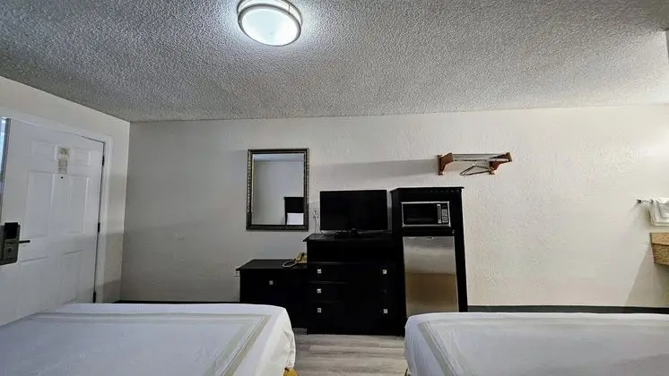 Televizyon