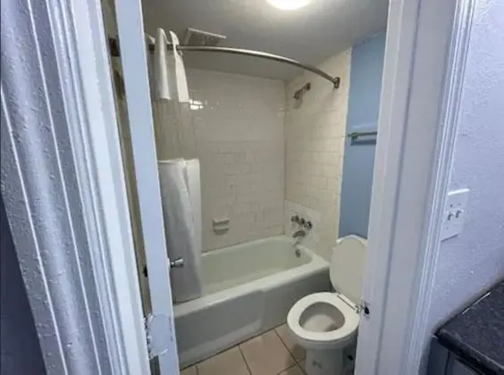 Standard Tek Kişilik Oda, 1 En Büyük (King) Boy Yatak, Sigara İçilmez