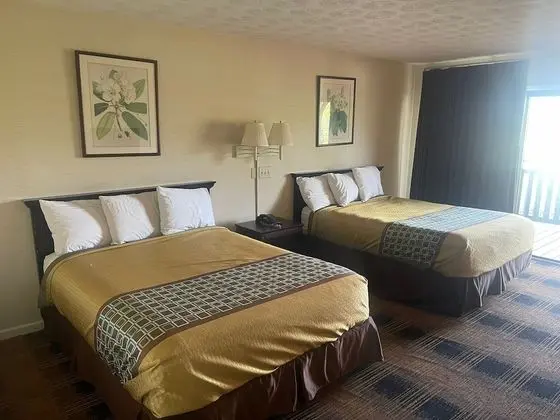 Deluxe Oda, Sigara İçilebilir, Dağ Manzaralı
