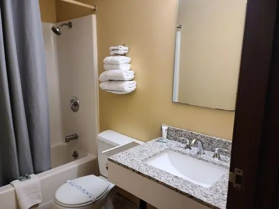 Business Tek Kişilik Oda, 1 Yatak Odası