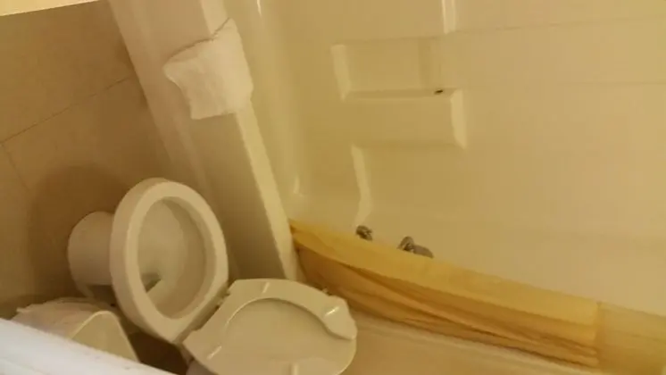 Standard Oda, 2 Çift Kişilik Yatak, Sigara İçilmez