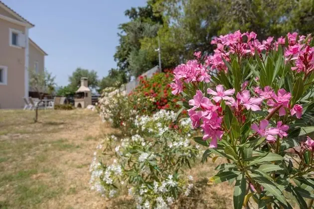 Villa, 4 Yatak Odası, Şömine